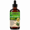 Jamaican Mango & Lime Black Castor Oil Rosemary 4oz