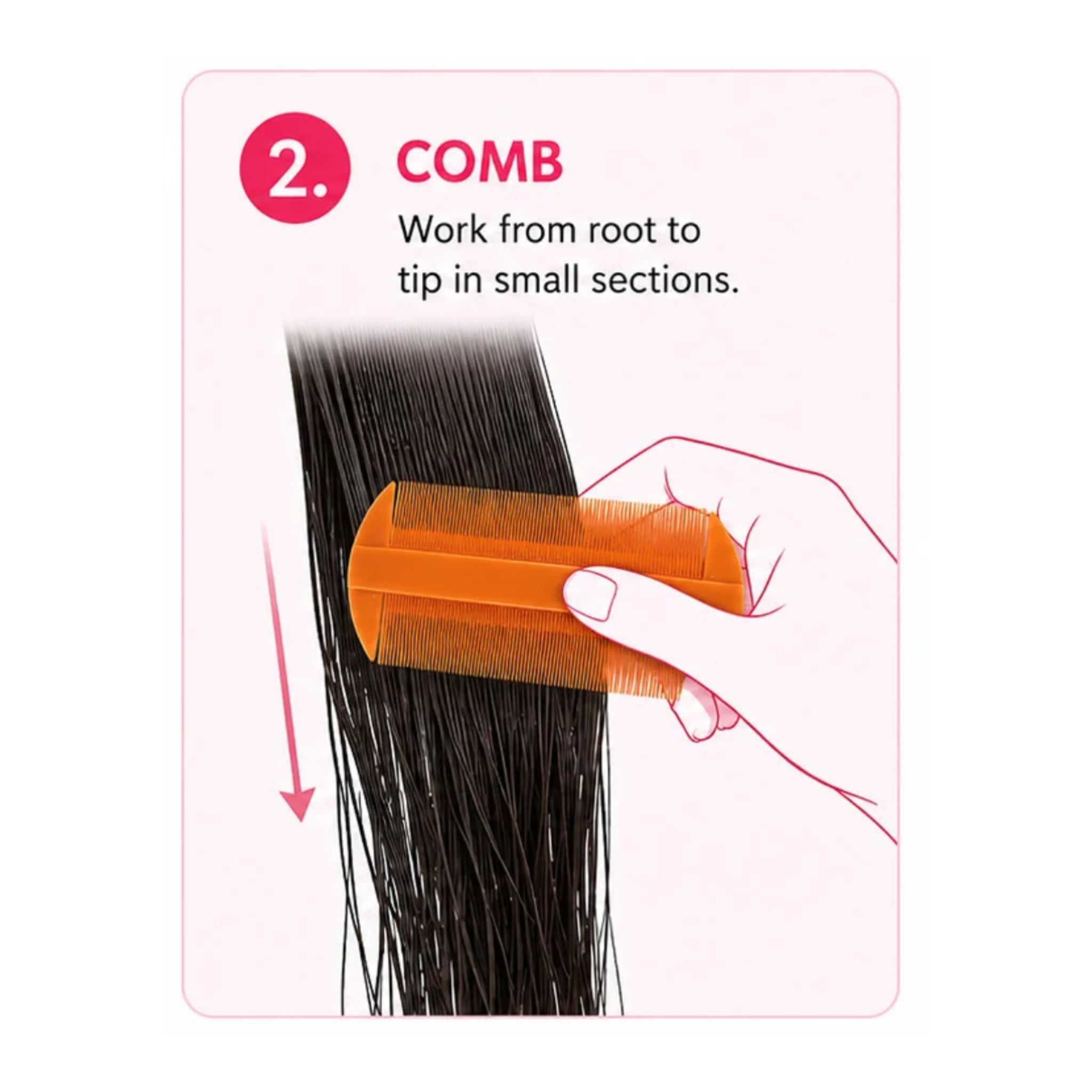Fine Tooth Nit Comb