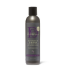 Design Essentials Peppermint & Aloe Theraputics Anti-Itch Shampoo 8oz